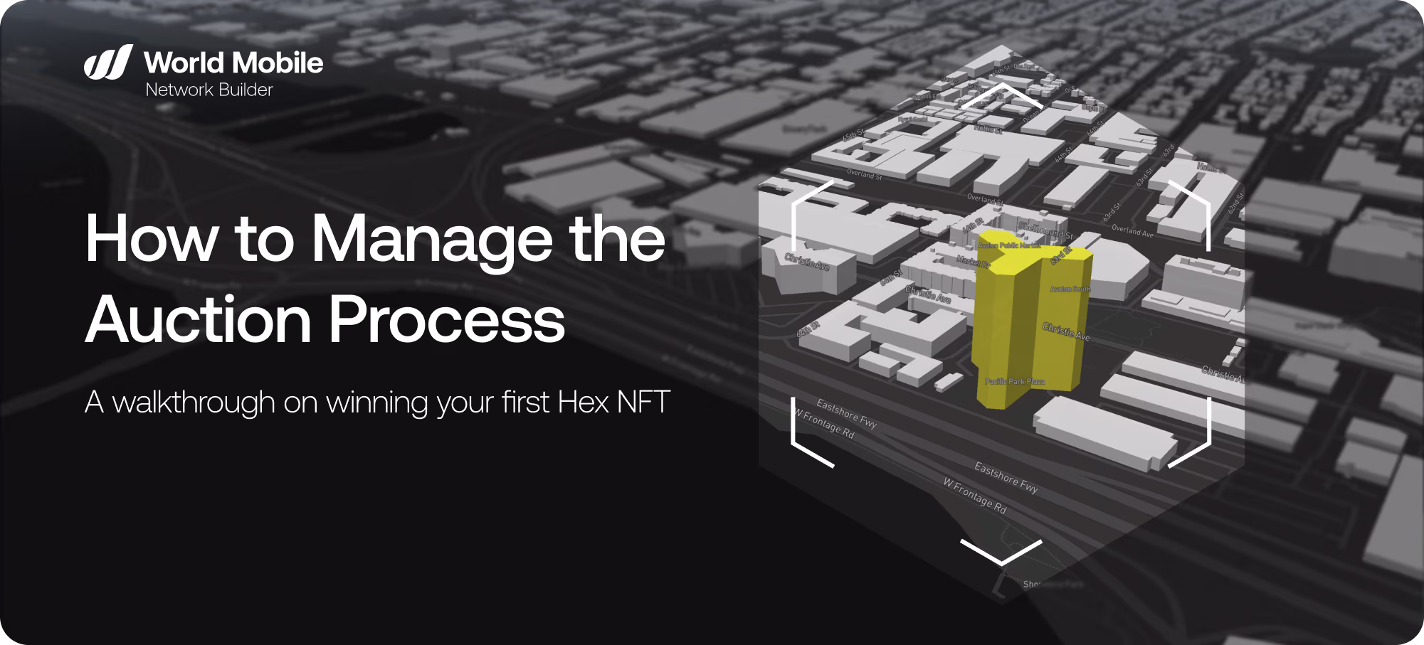 Network Builder Academy — Chapter 3